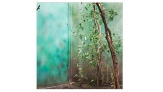 Bilder belohnungen 1500 CHF