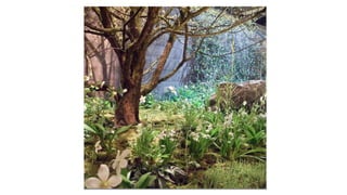 Bilder belohnungen 1500 CHF