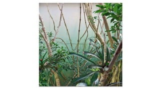 Bilder belohnungen 1500 CHF