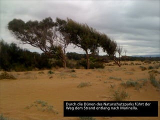 Durch die Dünen des Naturschutzparks führt der
Weg dem Strand entlang nach Marinella.
 