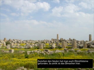 Zwischen den Säulen hat man auch Ölmühlsteine
gefunden. So antik ist das Ölmachen hier.
 