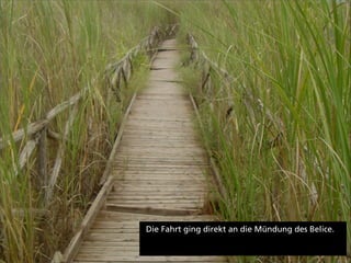 Die Fahrt ging direkt an die Mündung des Belice.
 