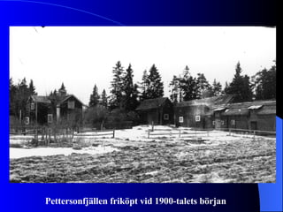 Pettersonfjällen friköpt vid 1900-talets början . 