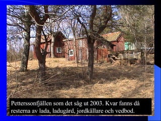 Petterssonfjällen som det såg ut 2003. Kvar fanns då resterna av lada, ladugård, jordkällare och vedbod. 