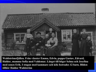 Wahlströmsfjällen. Från vänster Emma, Edvin, pappa Gustav, Edvard, Haldor, mamma Sofia med Valdemar. Längst till höger Selma och Josefina med sonen Erik. I stugan med kammare och kök fostrades 12 barn. Bilden tillhör Haldor Wahlström 
