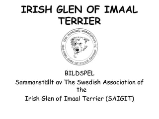 IRISH GLEN OF IMAAL
TERRIER
BILDSPEL
Sammanställt av The Swedish Association of
the
Irish Glen of Imaal Terrier (SAIGIT)
 