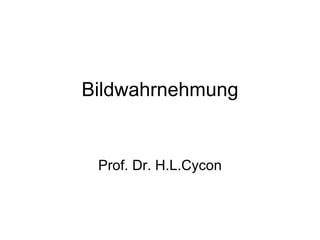 Bildwahrnehmung Prof. Dr. H.L.Cycon 
