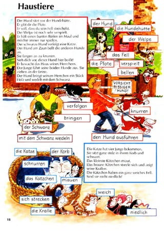 Bildwörterbuch deutsch