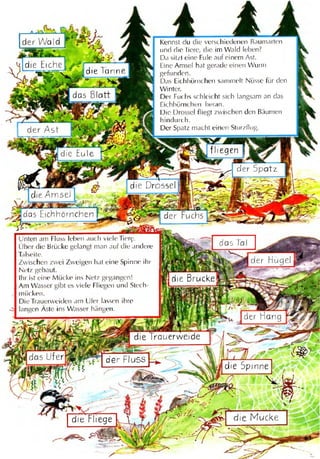 Bildwörterbuch deutsch