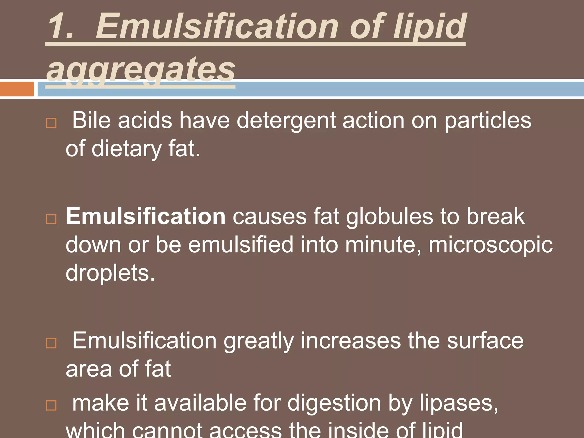 1. Emulsification of lipid
aggregates
   Bile acids have detergent action on particles
    of dietary fat.

   Emulsification causes fat globules to break
    down or be emulsified into minute, microscopic
    droplets.

   Emulsification greatly increases the surface
    area of fat
   make it available for digestion by lipases,
 