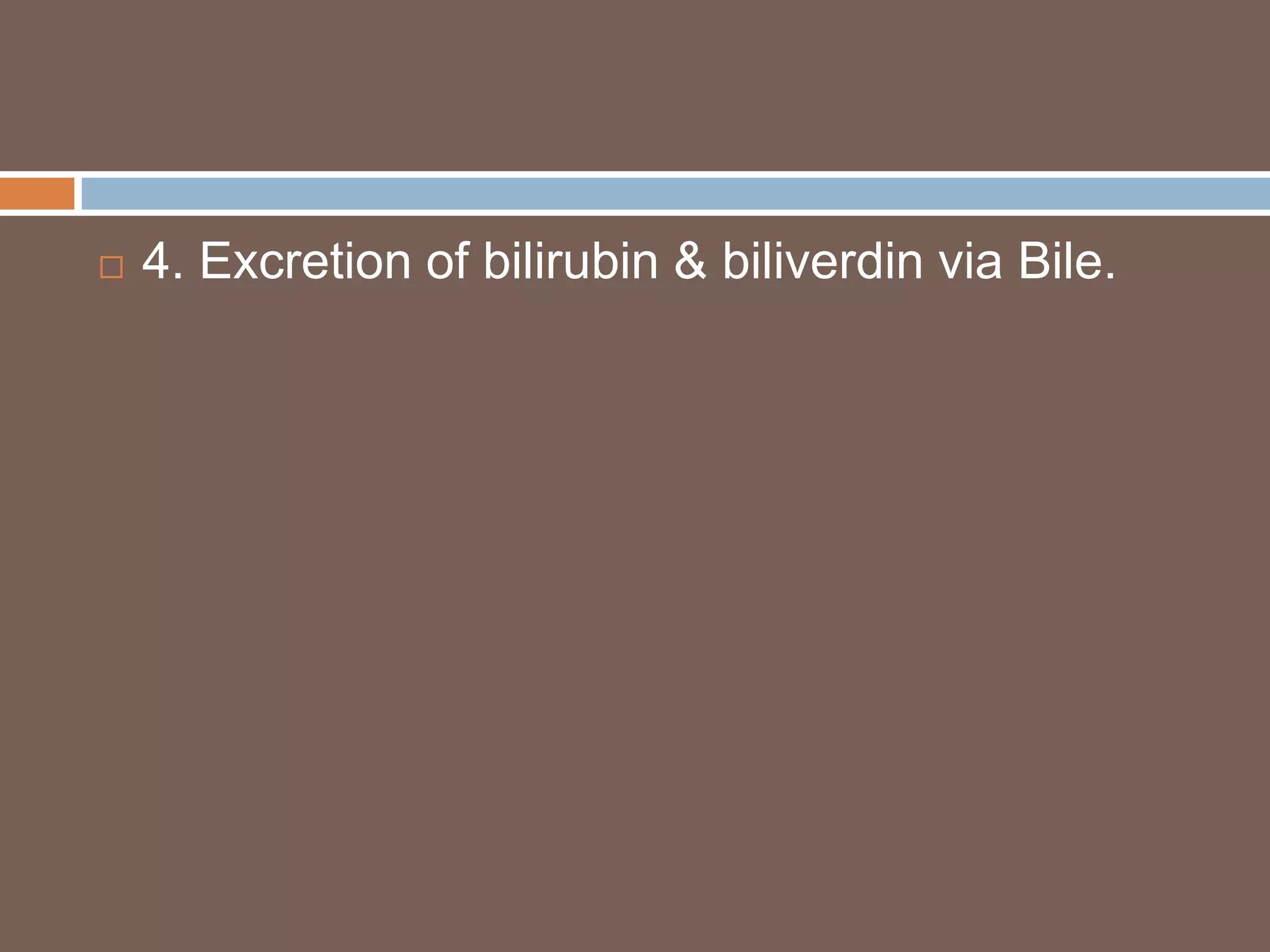    4. Excretion of bilirubin & biliverdin via Bile.
 