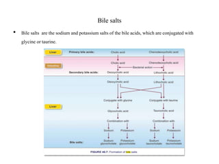 Bile salts
• Bile salts are the sodium and potassium salts of the bile acids, which are conjugatedwith
glycine ortaurine.
 