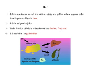 bile.pptx