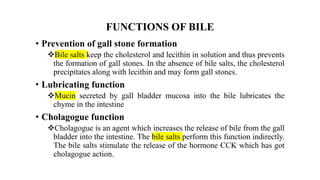 Bile.pptx