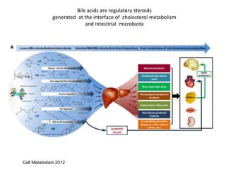 Bile acids, microbiota and nuclear receptors | PPTX