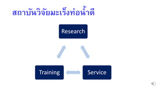 สถำบันวิจัยมะเร็งท่อน้ำดี
Research
ServiceTraining
 