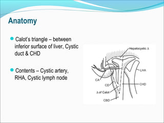 Anatomy
Calot’s triangle – between
inferior surface of liver, Cystic
duct & CHD
Contents – Cystic artery,
RHA, Cystic lymph node
 