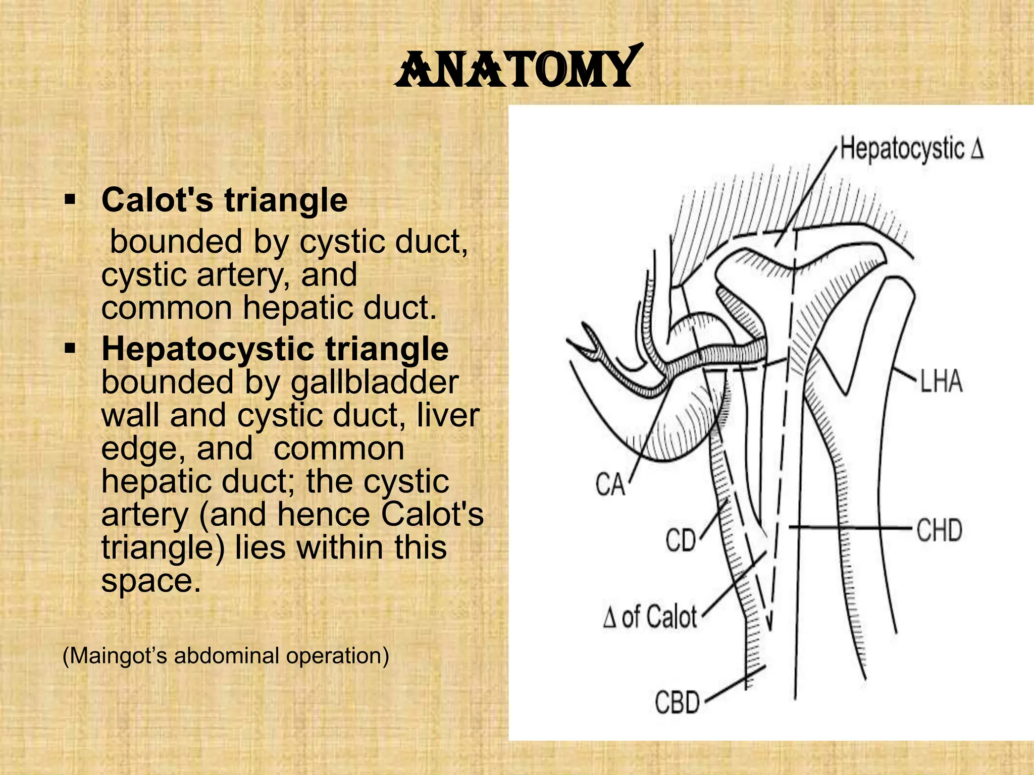 Anatomy
 Calot's triangle
bounded by cystic duct,
cystic artery, and
common hepatic duct.
 Hepatocystic triangle
bounded by gallbladder
wall and cystic duct, liver
edge, and common
hepatic duct; the cystic
artery (and hence Calot's
triangle) lies within this
space.
(Maingot‟s abdominal operation)

 