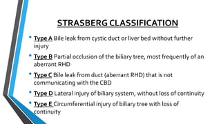 Lundborg's Classification BILE DUCT INJURY AFTER CHOLECYSTECTOMY.pptx