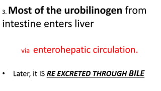 3. Most of the urobilinogen from
intestine enters liver
via enterohepatic circulation.
• Later, it IS RE EXCRETED THROUGH BILE
 