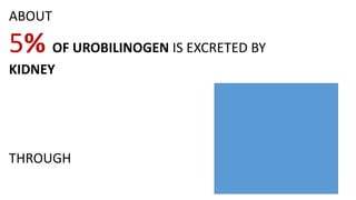 ABOUT
5% OF UROBILINOGEN IS EXCRETED BY
KIDNEY
THROUGH URINE.
 