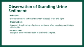 Bile Pigments and Urobilinogen in urine.pptx