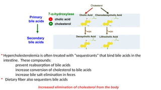 Bile Synthesis, Cholesterol and Lipoprotein metabolism MAA 2025.pptx