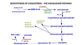 Bile Synthesis, Cholesterol and Lipoprotein metabolism MAA 2025.pptx