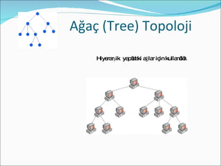 Ağaç (Tree) Topoloji Hiyerarşik  yapıdaki ağlar için kullanılır.  