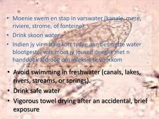 Larvae back into water