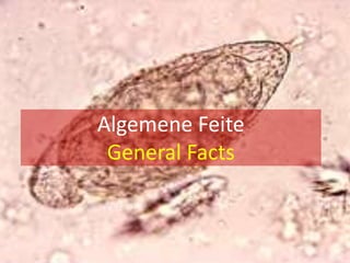 Sterftes: 14 000 per jaar