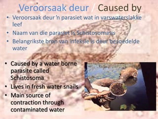 Deaths: 14 000 annuallyWereldwyd / Globally