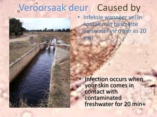 Algemene FeiteGeneral Facts