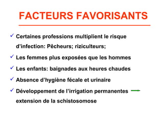 FACTEURS FAVORISANTS
 Certaines professions multiplient le risque
  d’infection: Pêcheurs; riziculteurs;
 Les femmes plus exposées que les hommes

 Les enfants: baignades aux heures chaudes

 Absence d’hygiène fécale et urinaire

 Développement de l’irrigation permanentes
  extension de la schistosomose
 