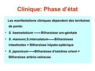 Clinique: Phase d’état
 Les manifestations cliniques dépendent des territoires
  de ponte:
• S. haematobium       Bilharziose uro-génitale
• S. mansoni,S.intercalatum      Bilharzioses
  intestinales = Bilharziose hépato-splénique
• S. japonicum     Bilharziose d’extrême orient =
  Bilharziose artério-veineuse
 
