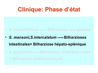 Clinique: Phase d’état


• S. haematobium       Bilharziose uro-génitale
• S. mansoni,S.intercalatum       Bilharzioses
 intestinales= Bilharziose hépato-splénique
• S. japonicum     Bilharziose d’extrême orient
 = Bilharziose artério-veineuse
 