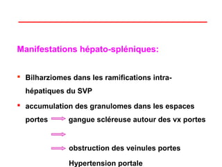 Manifestations hépato-spléniques:


 Bilharziomes dans les ramifications intra-
  hépatiques du SVP
 accumulation des granulomes dans les espaces
  portes      gangue scléreuse autour des vx portes


              obstruction des veinules portes

              Hypertension portale
 