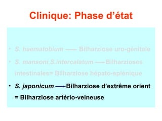 Clinique: Phase d’état


• S. haematobium       Bilharziose uro-génitale
• S. mansoni,S.intercalatum       Bilharzioses
 intestinales= Bilharziose hépato-splénique
• S. japonicum     Bilharziose d’extrême orient
 = Bilharziose artério-veineuse
 