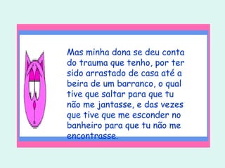Mas minha dona se deu conta do trauma que tenho, por ter sido arrastado de casa até a beira de um barranco, o qual tive que saltar para que tu não me jantasse, e das vezes que tive que me esconder no banheiro para que tu não me encontrasse.  