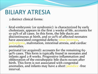 BILIARY ATRESIA
2 distinct clinical forms:
- fetal-embryonic (or syndromic): is characterized by early
cholestasis, appears in the first 2 weeks of life, accounts for
10-35% of all cases. In this form, the bile ducts are
discontinuous at birth, and 10-20% of affected neonates
have associated congenital defects: situs inversus,
polysplenia, malrotation, intestinal atresia, and cardiac
anomalies.
- perinatal (or acquired): accounts for the remaining 65-
90% cases. This form is typically found in neonates and
infants aged 2-8 weeks. Progressive inflammation and
obliteration of the extrahepatic bile ducts occurs after
birth. This form is not associated with congenital
anomalies, and infants may have a short jaundice -free
interval.
 
