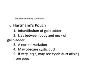 Detailed anatomy, continued …
F. Hartmann’s Pouch
1. Infundibulum of gallbladder
2. Lies between body and neck of
gallbladder
3. A normal variation
4. May obscure cystic duct
5. If very large, may see cystic duct arising
from pouch
 