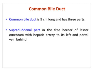 Common Bile Duct
• Common bile duct is 9 cm long and has three parts.
• Supraduodenal part in the free border of lesser
omentum with hepatic artery to its left and portal
vein behind.
 