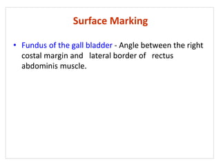 Surface Marking
• Fundus of the gall bladder - Angle between the right
costal margin and lateral border of rectus
abdominis muscle.
 