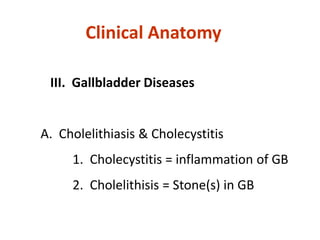 III. Gallbladder Diseases
A. Cholelithiasis & Cholecystitis
1. Cholecystitis = inflammation of GB
2. Cholelithisis = Stone(s) in GB
Clinical Anatomy
 