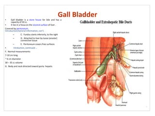 Gall Bladder
• Gall bladder is a store house for bile and has a
capacity of 50 cc.
• It lies in a fossa on the visceral surface of liver .
Covered by peritoneum.
Introduction/General Information, con’t.
– C. Fundus slants inferiorly, to the right
– D. Attached to liver by loose (areolar)
connective tissue
– E. Peritoneum covers free surfaces
• Intrduction, continued …
F. Normal measurements:
7-10 cm long
~ 6 cm diameter
30 – 35 cc volume
G. Body and neck directed toward porta hepatis
 