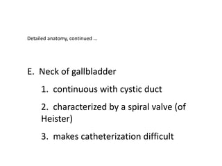 Detailed anatomy, continued …
E. Neck of gallbladder
1. continuous with cystic duct
2. characterized by a spiral valve (of
Heister)
3. makes catheterization difficult
 