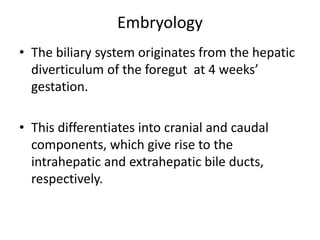 Embryology
• The biliary system originates from the hepatic
diverticulum of the foregut at 4 weeks’
gestation.
• This differentiates into cranial and caudal
components, which give rise to the
intrahepatic and extrahepatic bile ducts,
respectively.
 