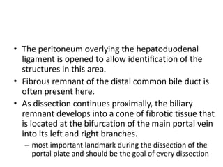 • The peritoneum overlying the hepatoduodenal
ligament is opened to allow identification of the
structures in this area.
• Fibrous remnant of the distal common bile duct is
often present here.
• As dissection continues proximally, the biliary
remnant develops into a cone of fibrotic tissue that
is located at the bifurcation of the main portal vein
into its left and right branches.
– most important landmark during the dissection of the
portal plate and should be the goal of every dissection
 