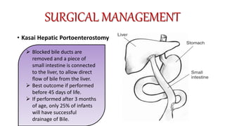 SURGICAL MANAGEMENT
• Kasai Hepatic Portoenterostomy
 Blocked bile ducts are
removed and a piece of
small intestine is connected
to the liver, to allow direct
flow of bile from the liver.
 Best outcome if performed
before 45 days of life.
 If performed after 3 months
of age, only 25% of infants
will have successful
drainage of Bile.
 