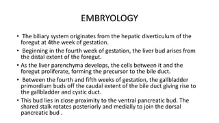 EMBRYOLOGY
• The biliary system originates from the hepatic diverticulum of the
foregut at 4the week of gestation.
• Beginning in the fourth week of gestation, the liver bud arises from
the distal extent of the foregut.
• As the liver parenchyma develops, the cells between it and the
foregut proliferate, forming the precursor to the bile duct.
• Between the fourth and fifth weeks of gestation, the gallbladder
primordium buds off the caudal extent of the bile duct giving rise to
the gallbladder and cystic duct.
• This bud lies in close proximity to the ventral pancreatic bud. The
shared stalk rotates posteriorly and medially to join the dorsal
pancreatic bud .
 